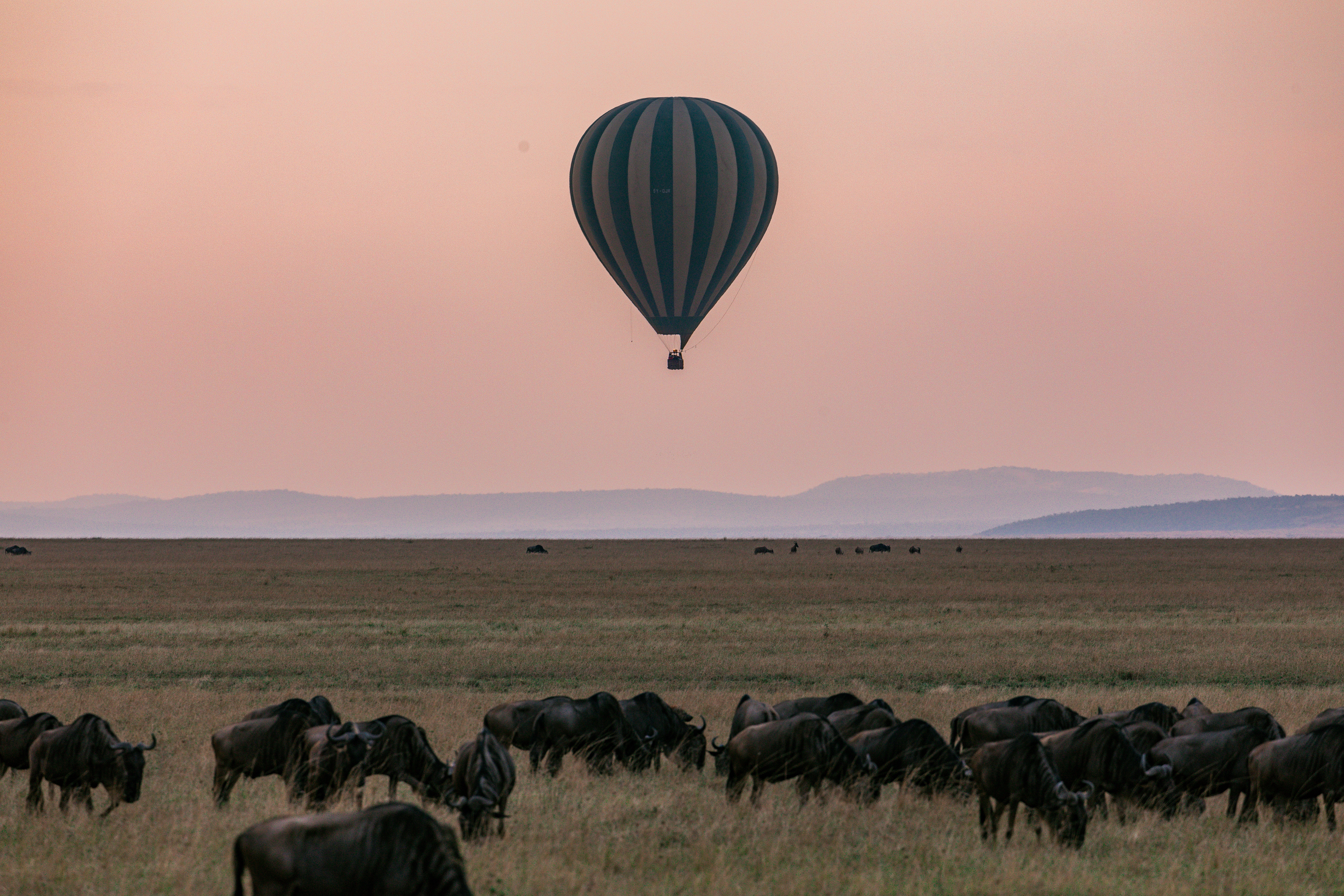 Serengeti Hot Balloon